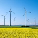 sustainability blog windmills image